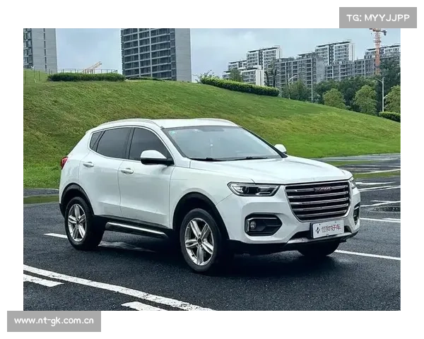 众泰规划两年内推3款SUV 竞争长城哈弗 众泰规划两年内推3款SUV 竞争长城哈弗